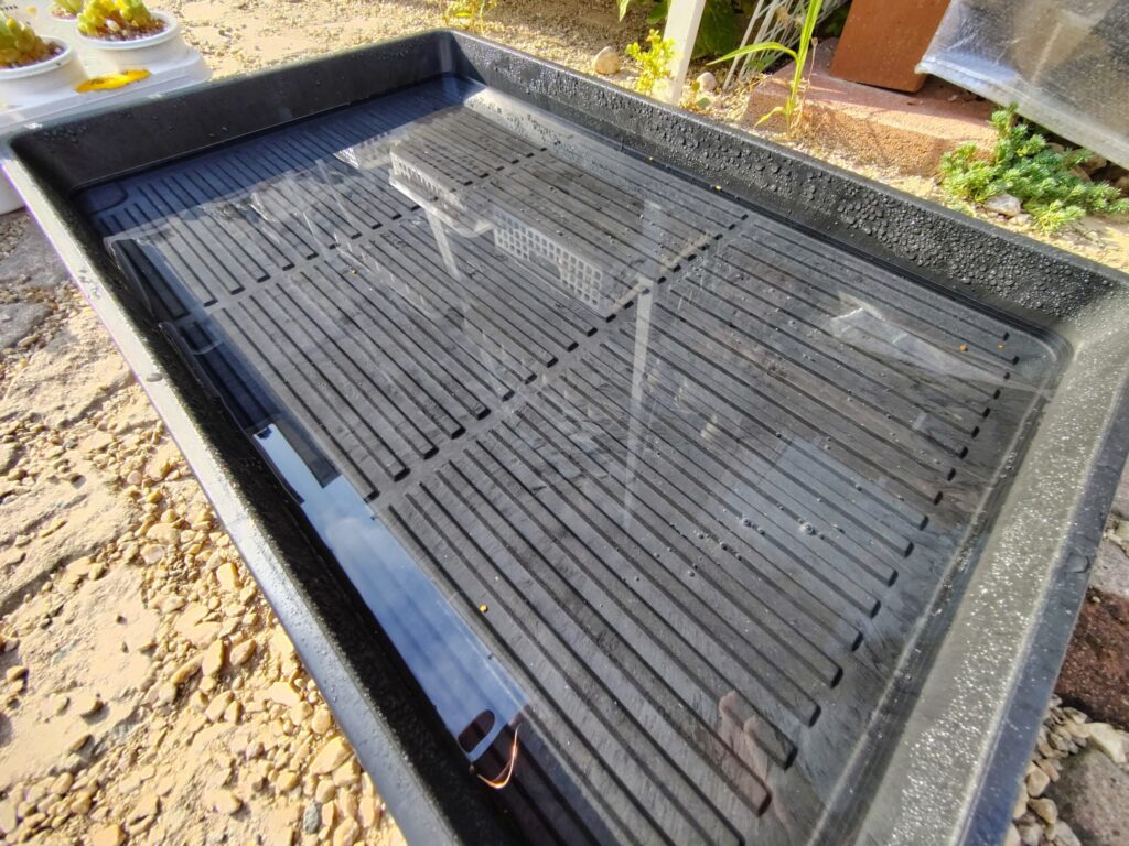 水を張った底面給水用のトレー